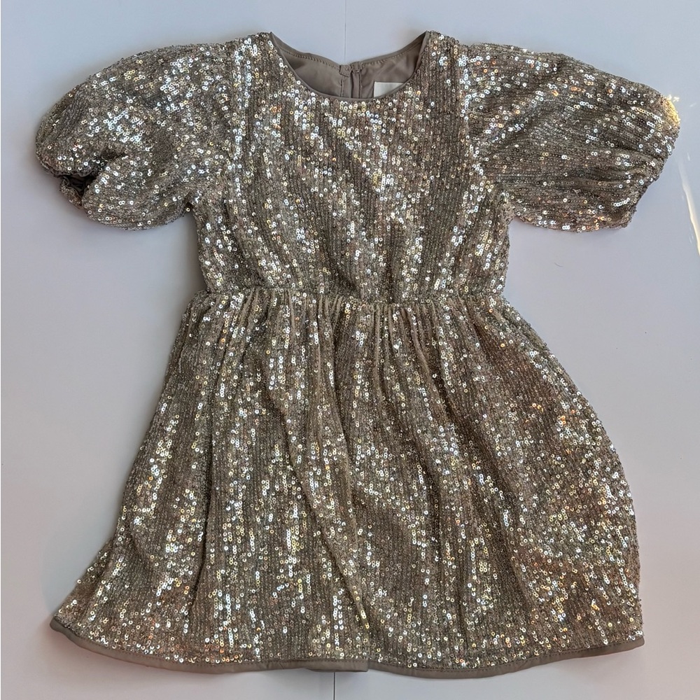 H&M Silver Sequin Top